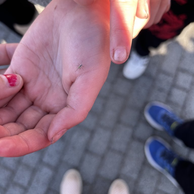 image-20230825-104656-d95a65ee