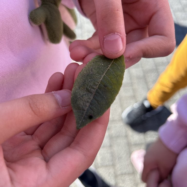 image-20230825-104815-23530d5d