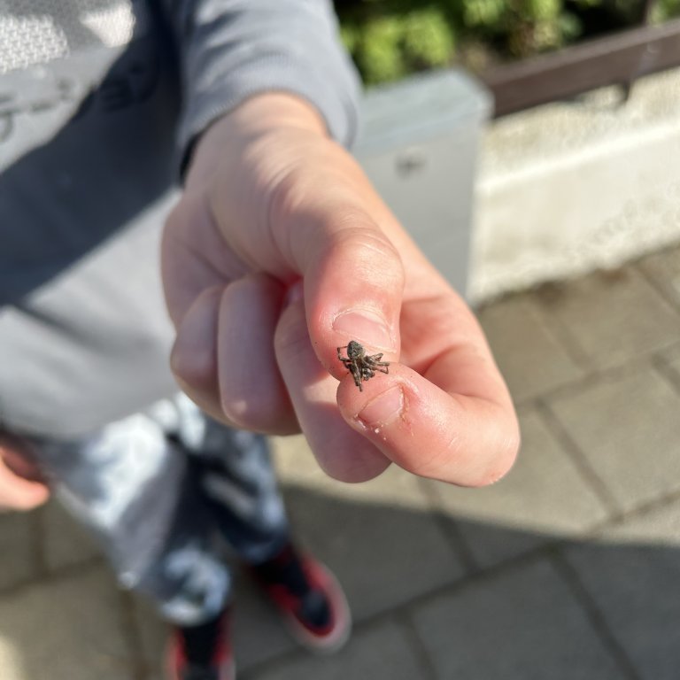 20230825_102355267_ios