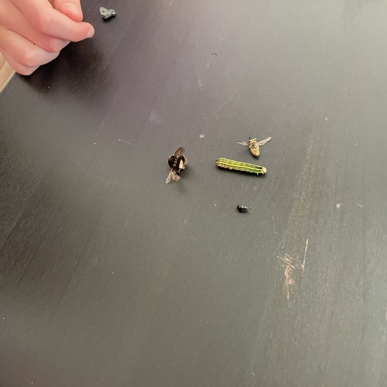 image-20230825-104116-c4e66cfb