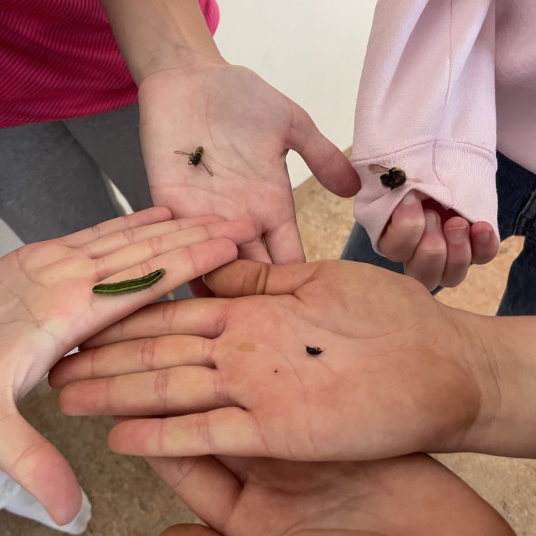 image-20230825-104153-5f0817e0