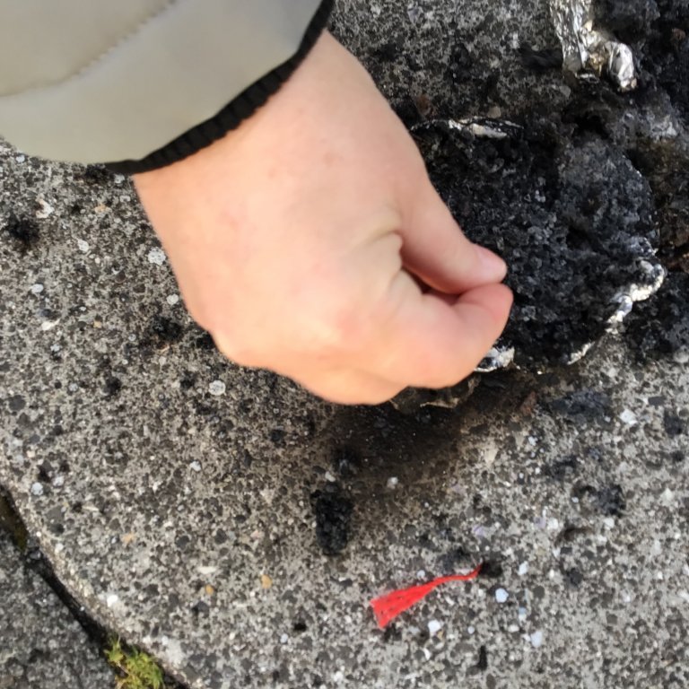 eac1b51f-5bdc-456a-bddb-7241a7ae660d