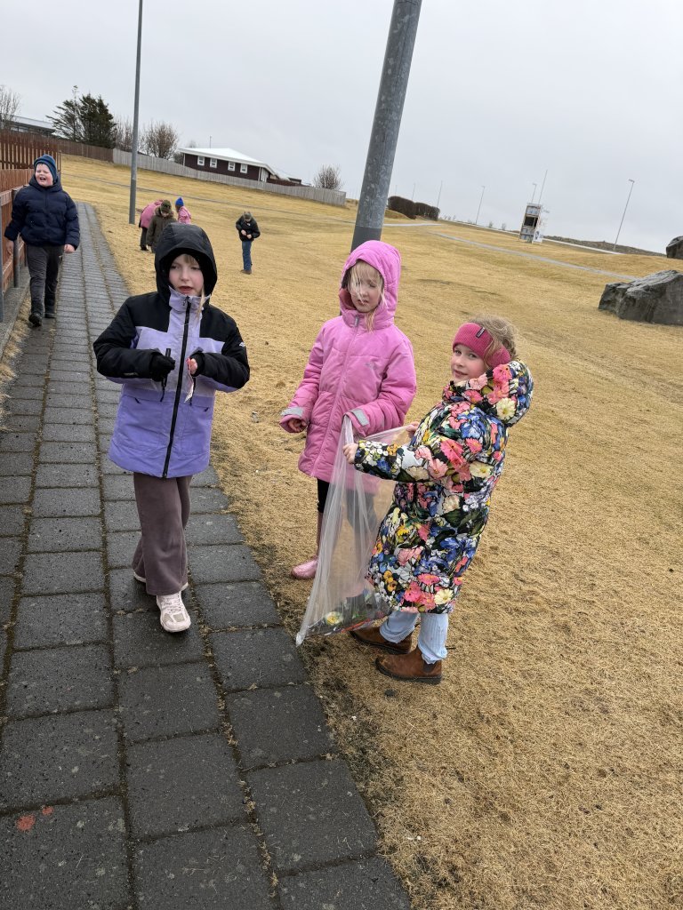 Rikka og töfrahringurinn 