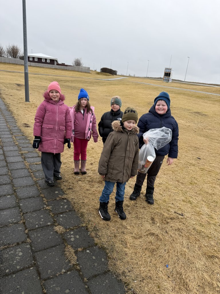 Rikka og töfrahringurinn 