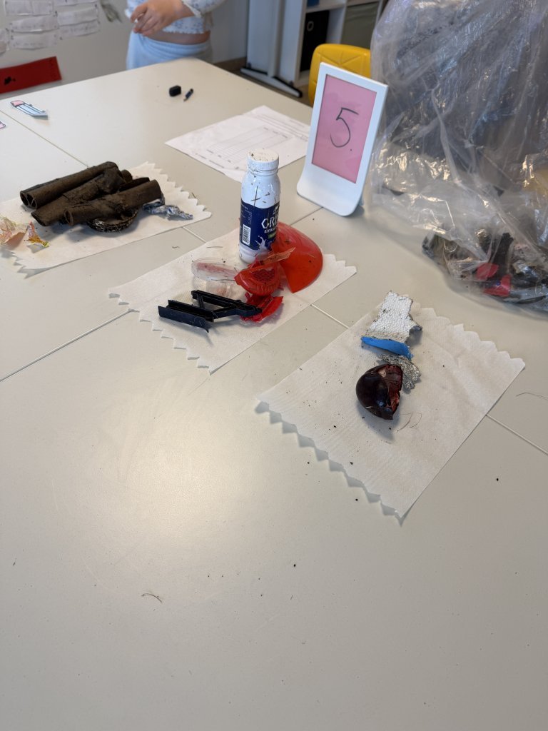 Rikka og töfrahringurinn 