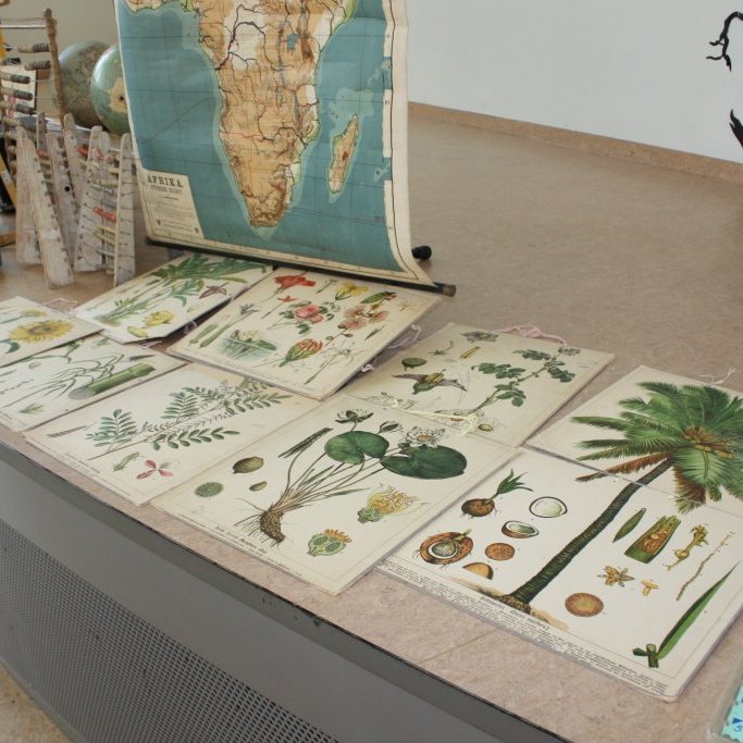 65690fbdebdd102e20f974825eee25ae