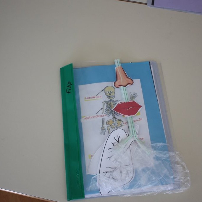 7d6fcaaca156a81388b0d7c3b60b6870