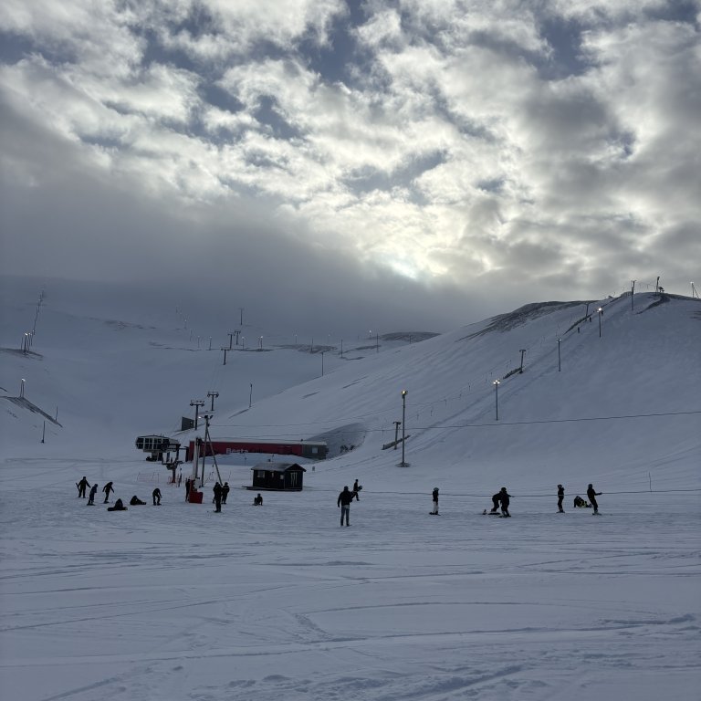 20250225_114406889_ios