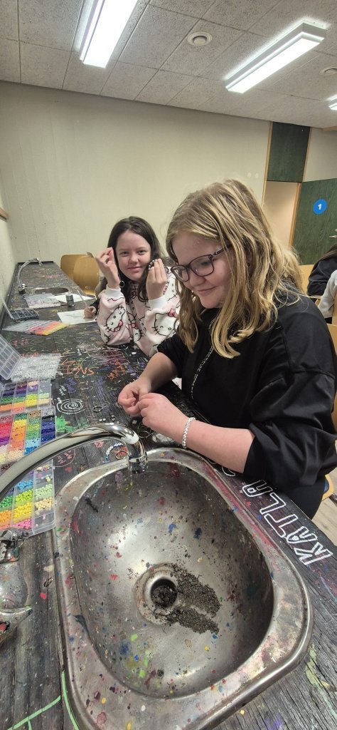 Skólabúðir að Reykjum í Hrútafirði - Dagur 1