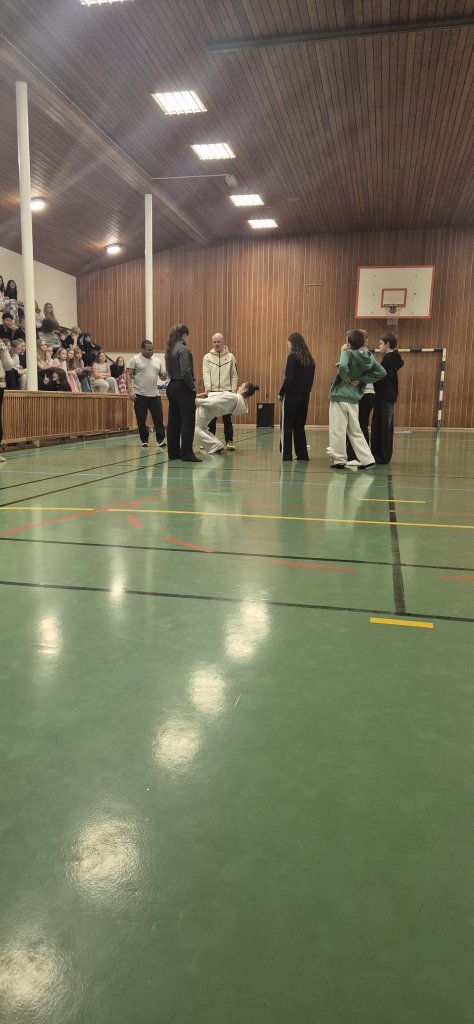 Skólabúðir að Reykjum í Hrútafirði - Dagur 2