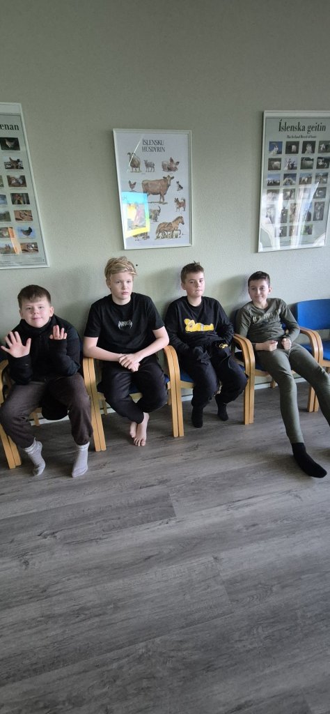 Skólabúðir að Reykjum í Hrútafirði - Dagur 3