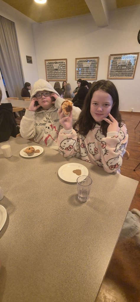 Skólabúðir að Reykjum í Hrútafirði - Dagur 3