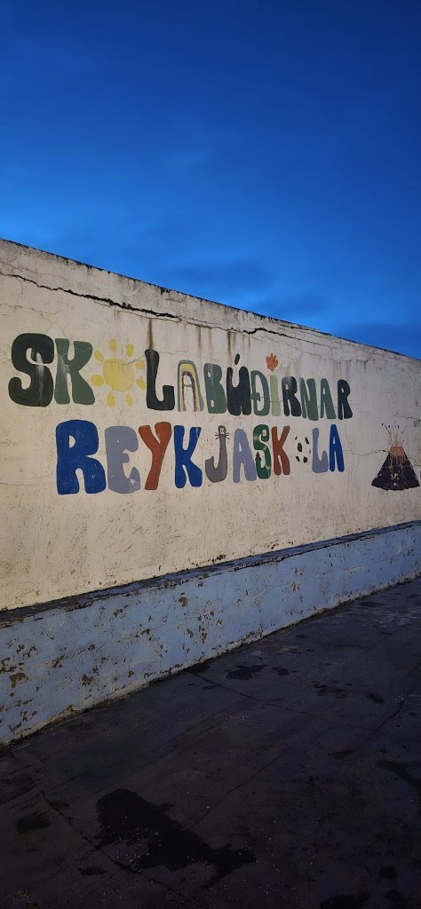 Skólabúðir að Reykjum í Hrútafirði - Dagur 3