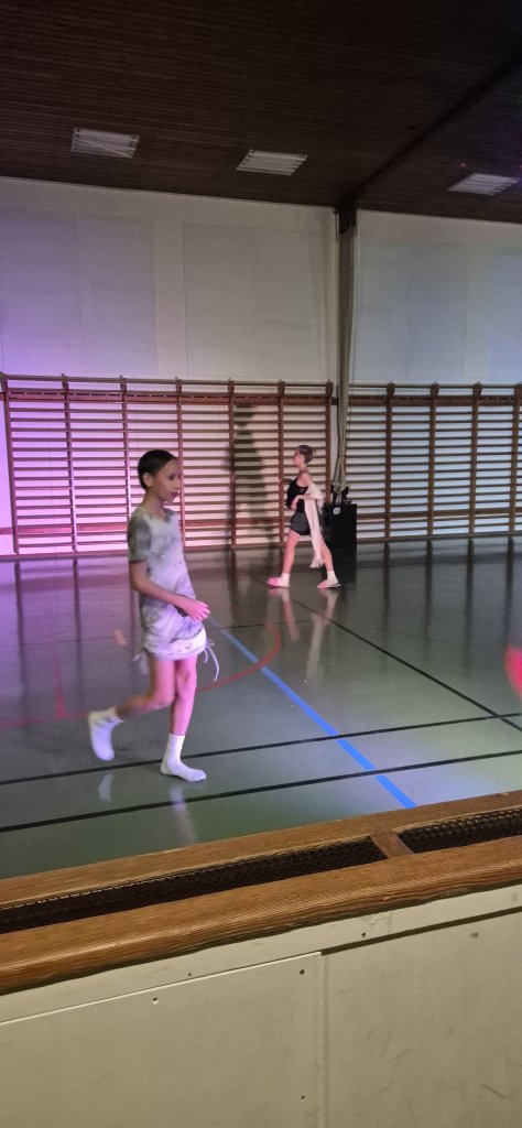 Skólabúðir að Reykjum í Hrútafirði - Dagur 3