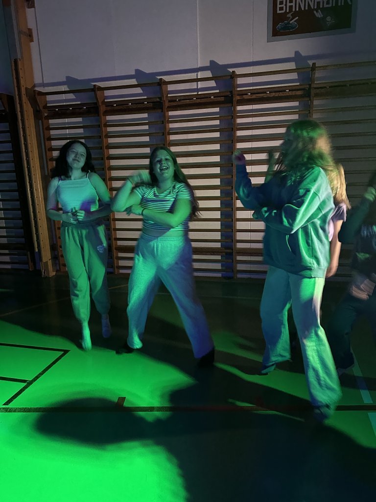 Skólabúðir að Reykjum í Hrútafirði - Dagur 3