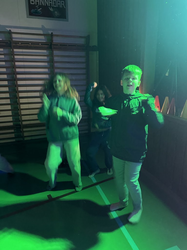 Skólabúðir að Reykjum í Hrútafirði - Dagur 3