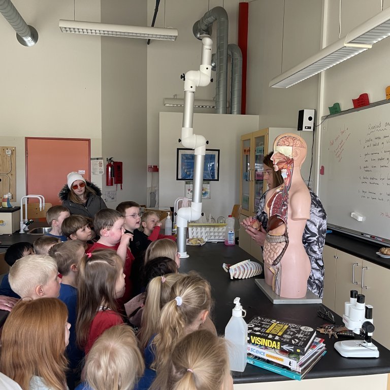 image-20230426-112403-c8232205