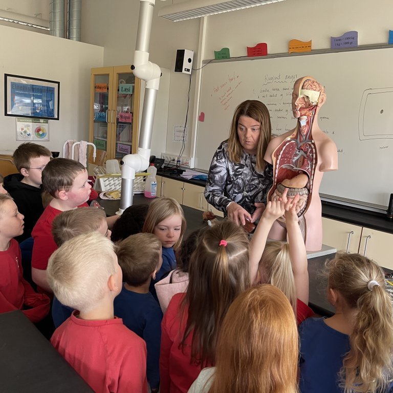 image-20230426-112442-648844de