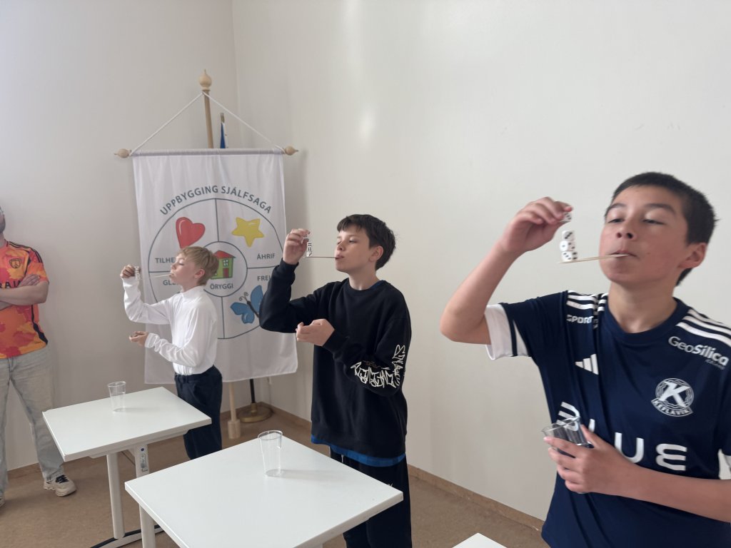 Skólarokk eldri