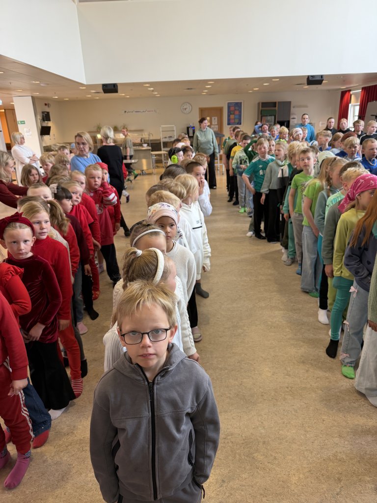 Skólarokk yngri