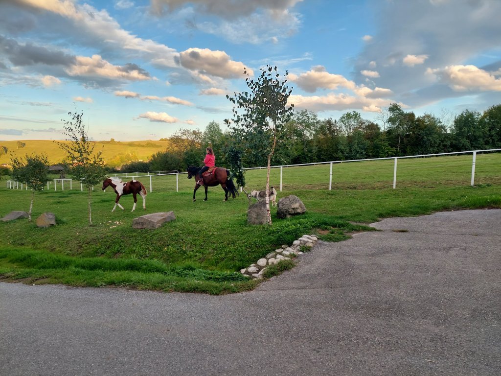 20220928_174627.jpg
