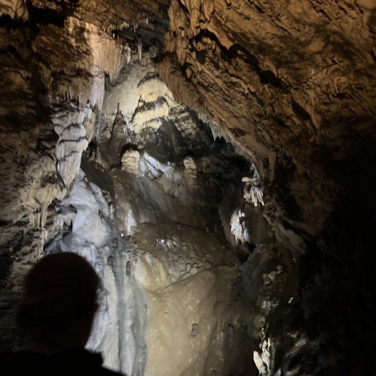 20220930_081044330_ios