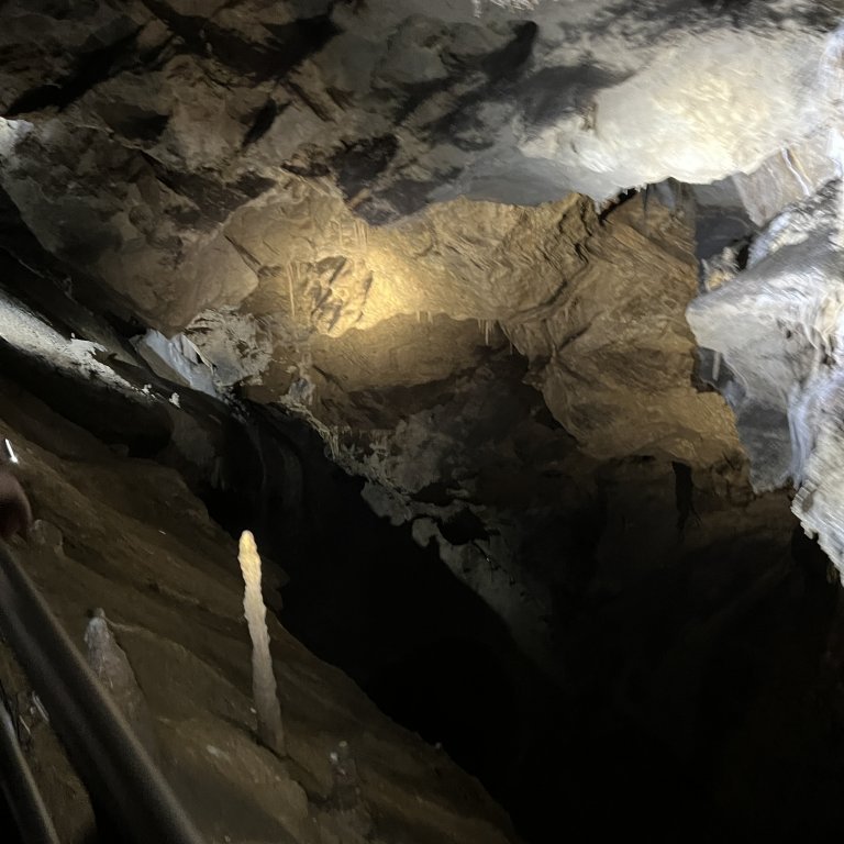 20220930_081807493_ios