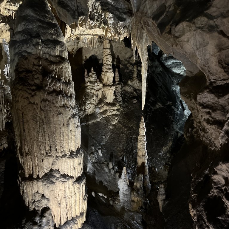 20220930_081922758_ios