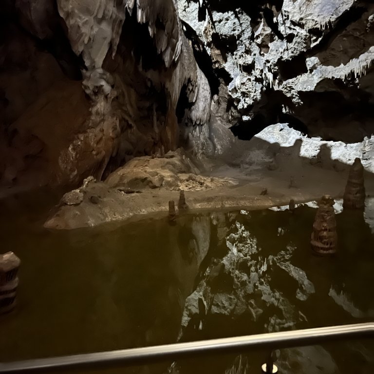 20220930_082206761_ios