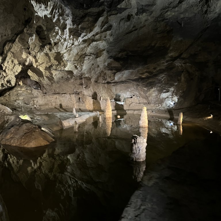 20220930_083413730_ios