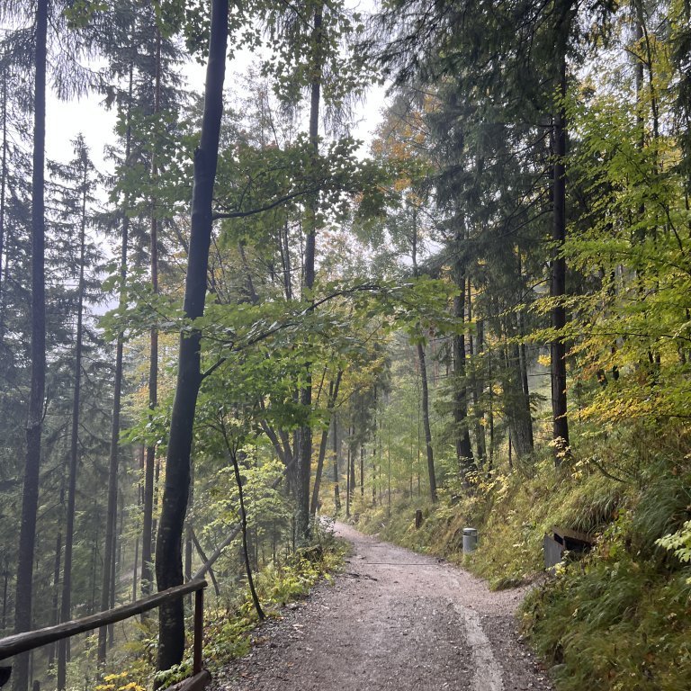 20220930_085941279_ios