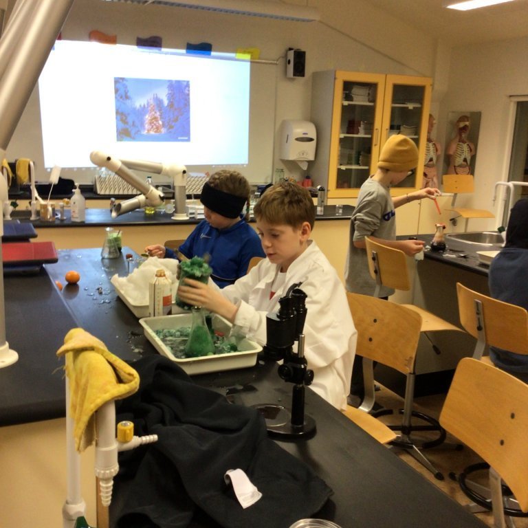 70d97a0d-000d-4083-a3e3-50b463c38a06