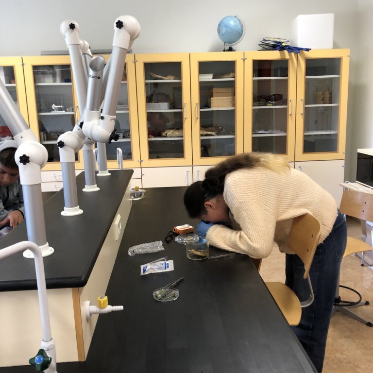 image-20230918-133219-93318433