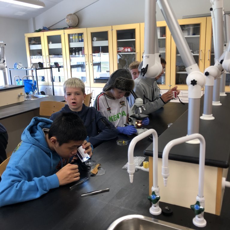 image-20230918-133221-0ad0b5a5