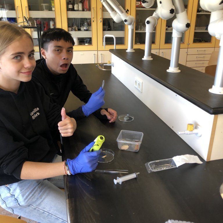 image-20230918-133241-4c525200