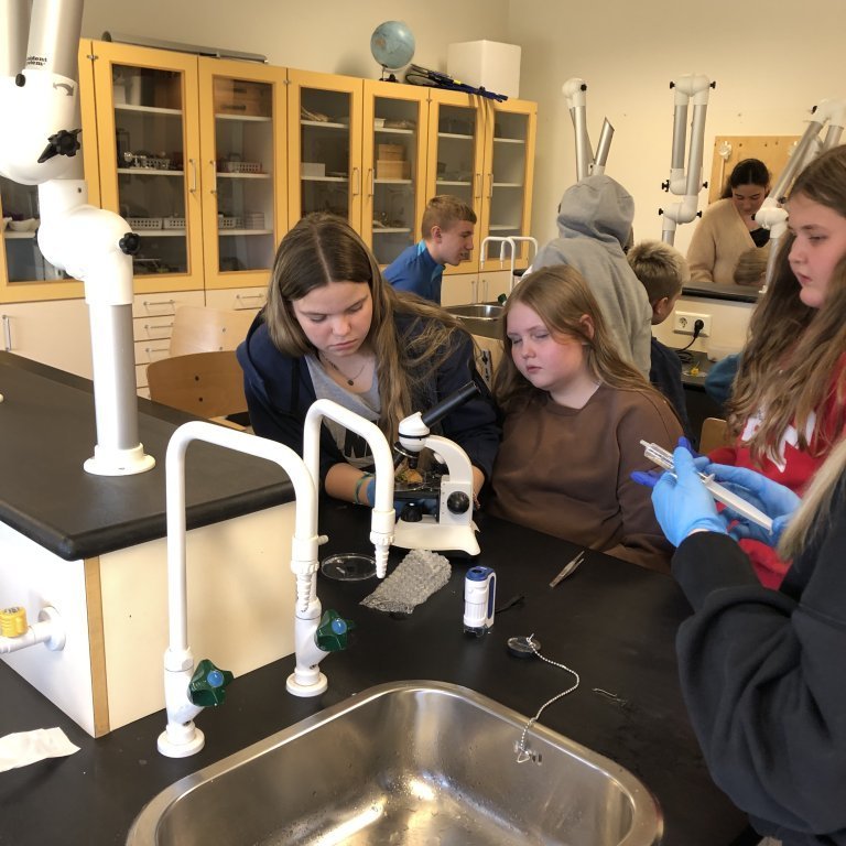 image-20230918-133244-adcc1cf6