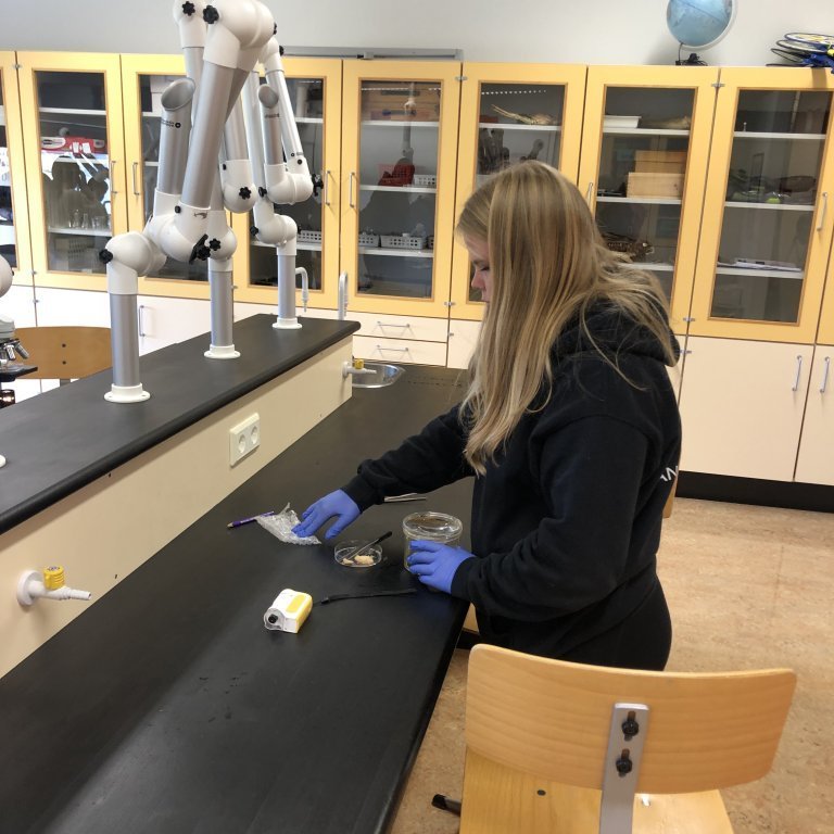 image-20230918-140647-5f6001ae