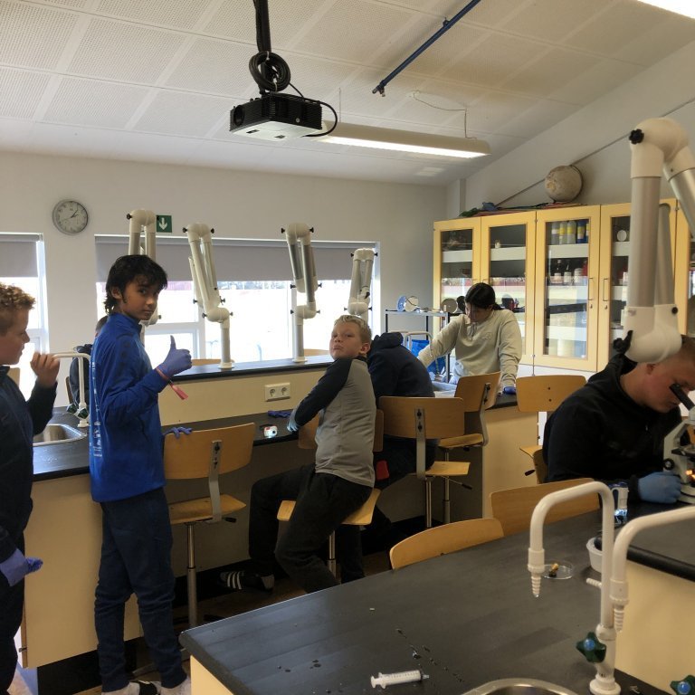 image-20230918-140658-c4b23b05