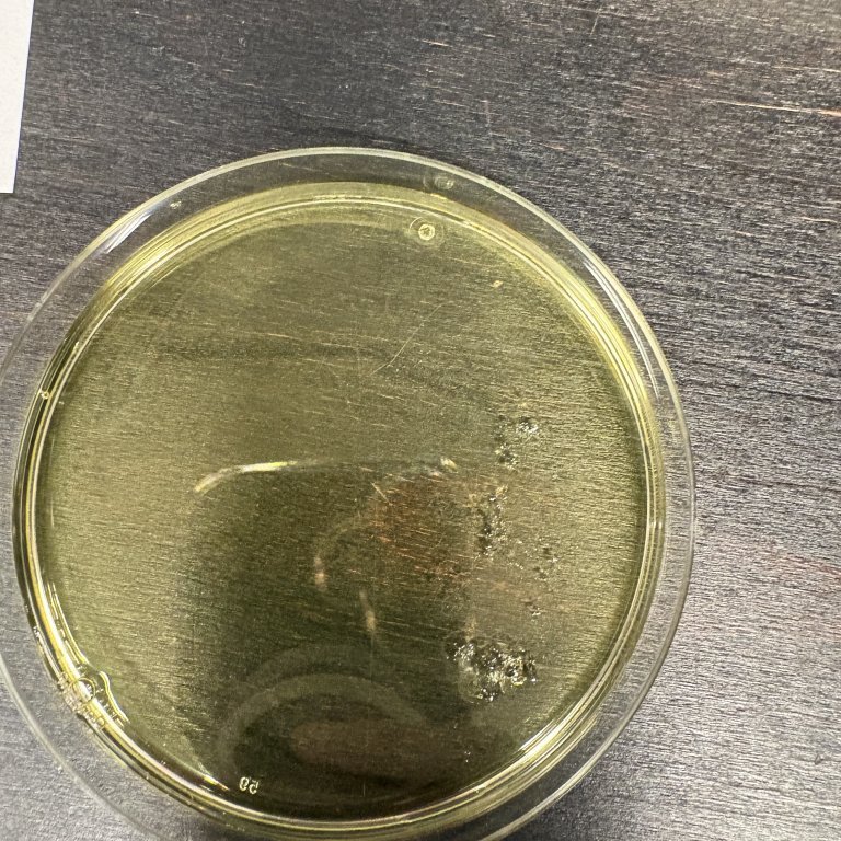 image-20260303-090952-cc289dc4