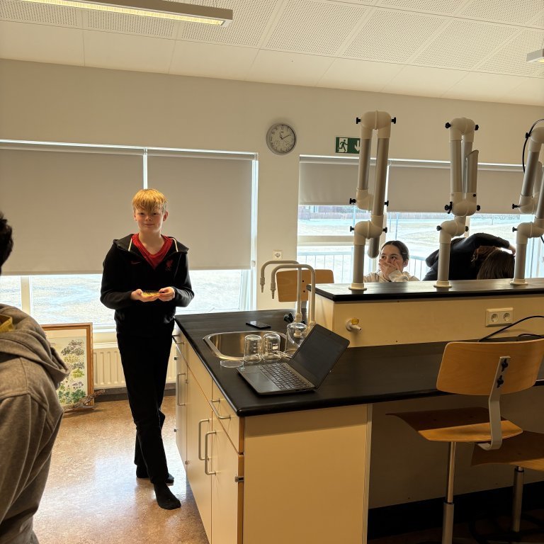 image-20260304-111532-7abe5c0a