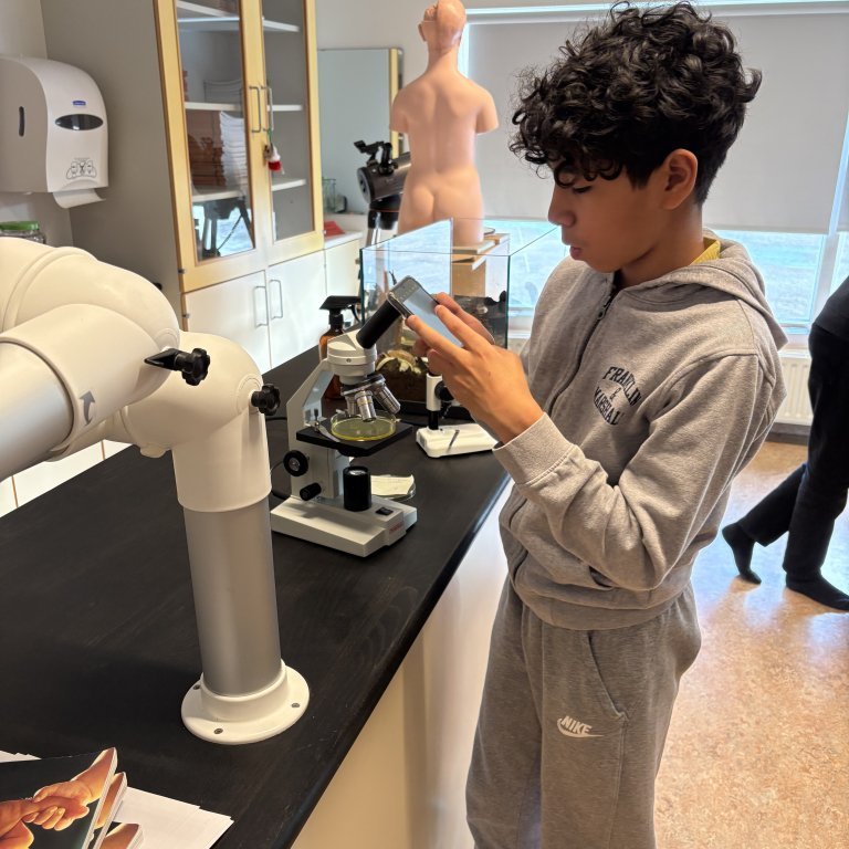 image-20260304-111540-b61bf351