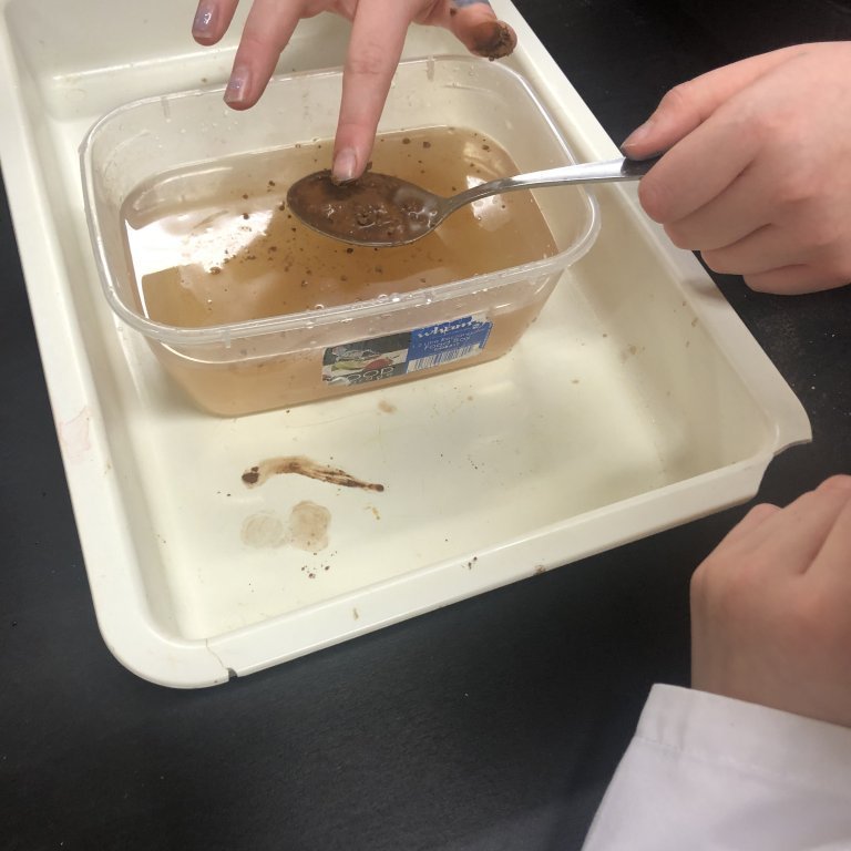 20220118_090330517_ios