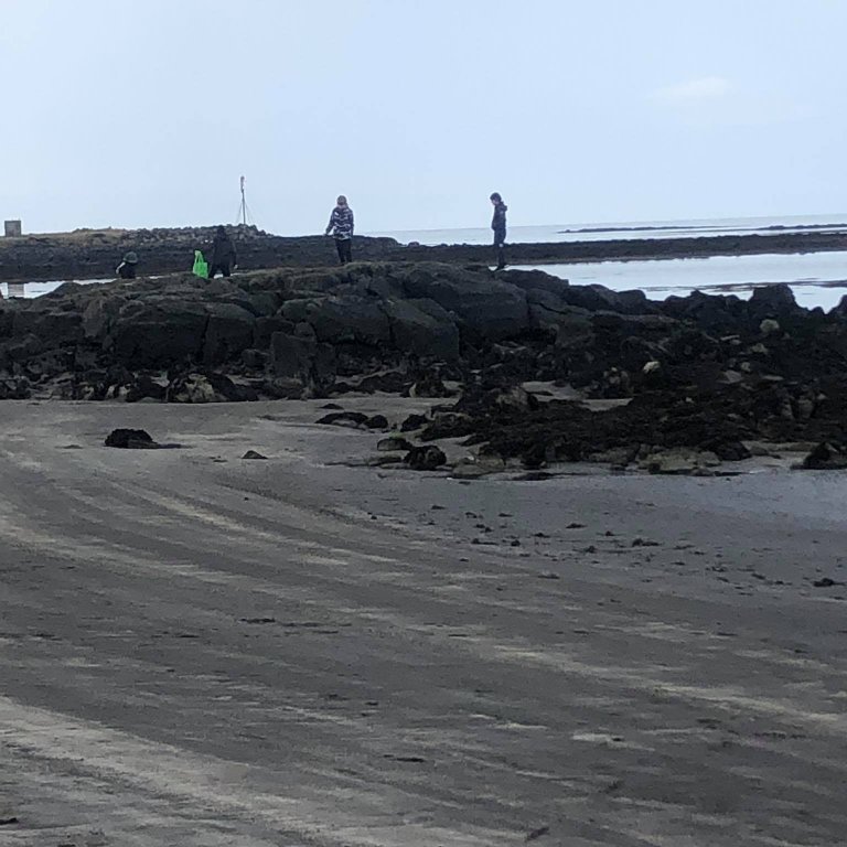 187655444_292342252530937_4047813362322405968_n