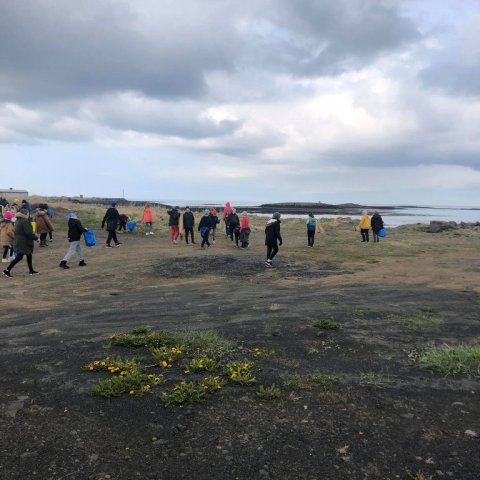 Umhverfisdagur í Sandgerðisskóla 