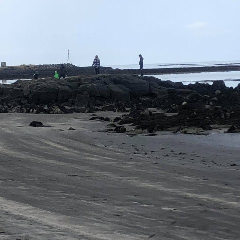 Umhverfisdagur í Sandgerðisskóla 