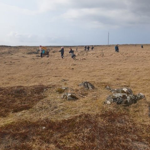 Umhverfisdagur í Sandgerðisskóla 