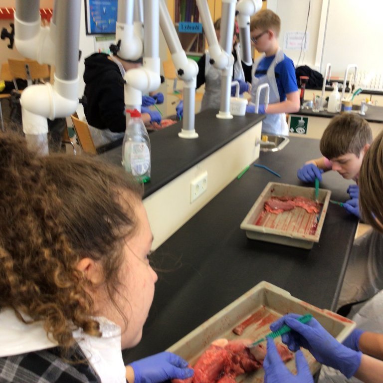 02e1096a-6fa1-45a8-bd28-0415411d28b1