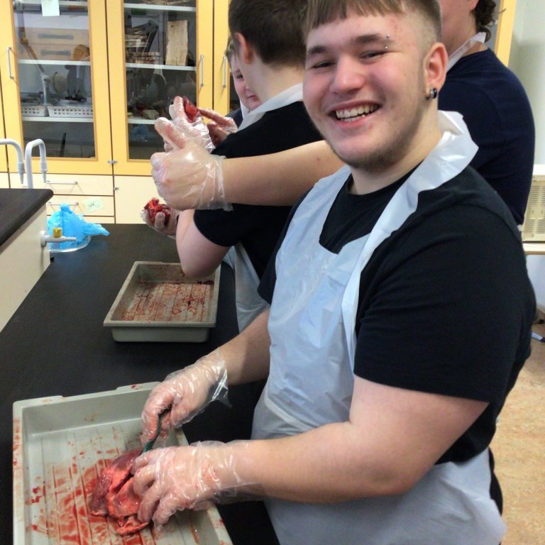 20c2c732-092e-47b7-b5d7-7f240d330dd1