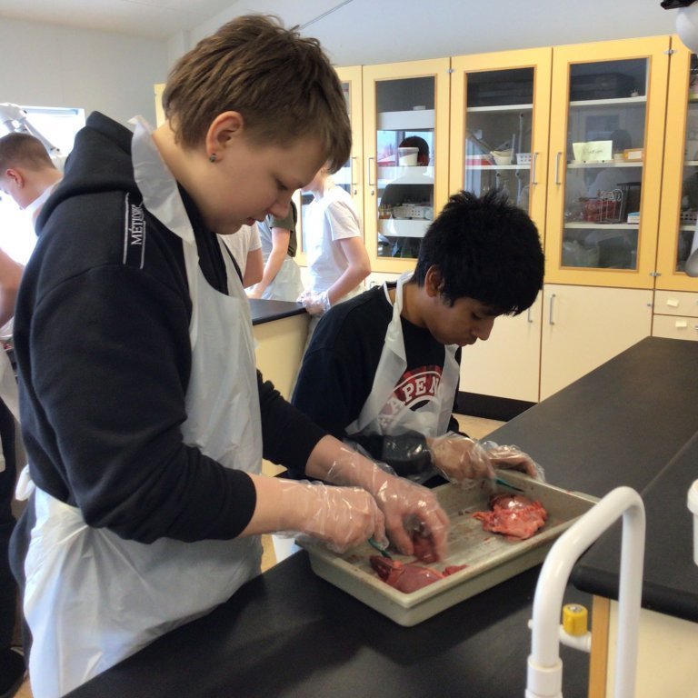 26b68896-7cbc-4e0e-b823-78ab5579d9c9