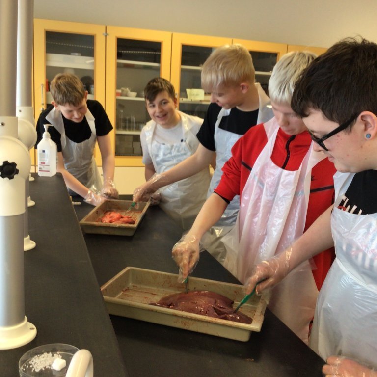 29319c80-87d6-4c92-9c3e-def08b57574a